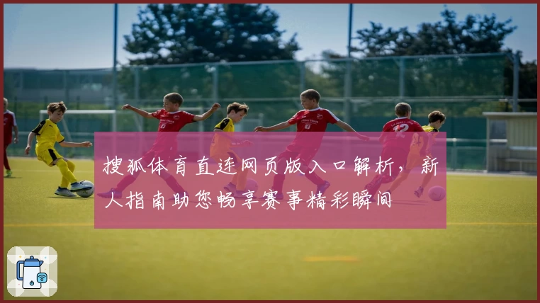 搜狐体育直连网页版入口解析，新人指南助您畅享赛事精彩瞬间