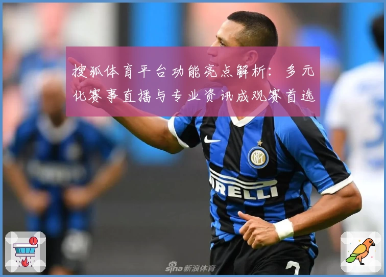搜狐体育平台功能亮点解析：多元化赛事直播与专业资讯成观赛首选