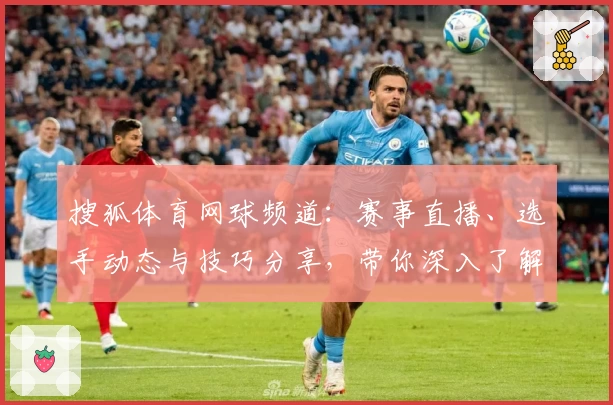 搜狐体育网球频道：赛事直播、选手动态与技巧分享，带你深入了解网球世界