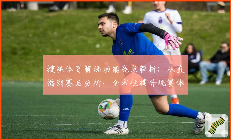 搜狐体育解说功能亮点解析：从直播到赛后分析，全方位提升观赛体验