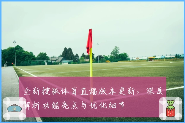 全新搜狐体育直播版本更新，深度解析功能亮点与优化细节