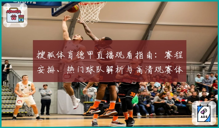 搜狐体育德甲直播观看指南:赛程安排、热门球队解析与高清观赛体验全攻略
