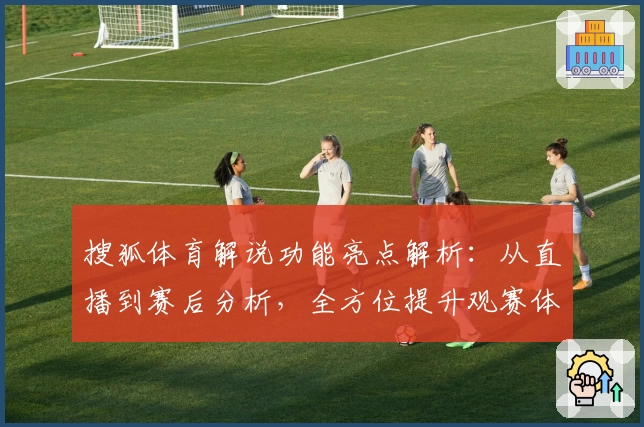 搜狐体育解说功能亮点解析：从直播到赛后分析，全方位提升观赛体验