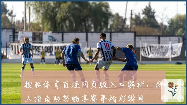 搜狐体育直连网页版入口解析，新人指南助您畅享赛事精彩瞬间